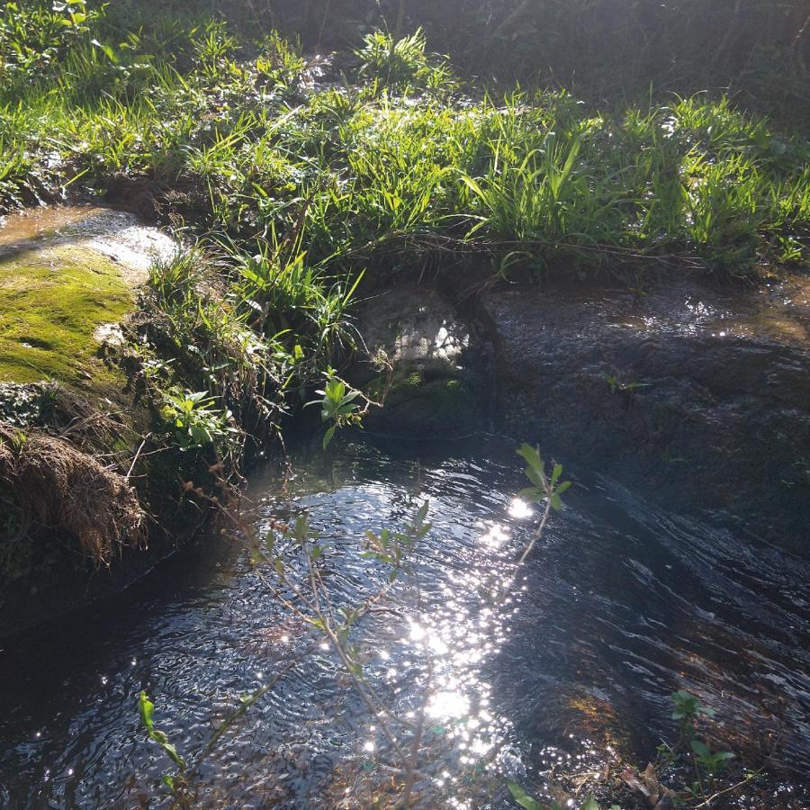 Yahoo Ecolodge Rio Rufino Екстер'єр фото